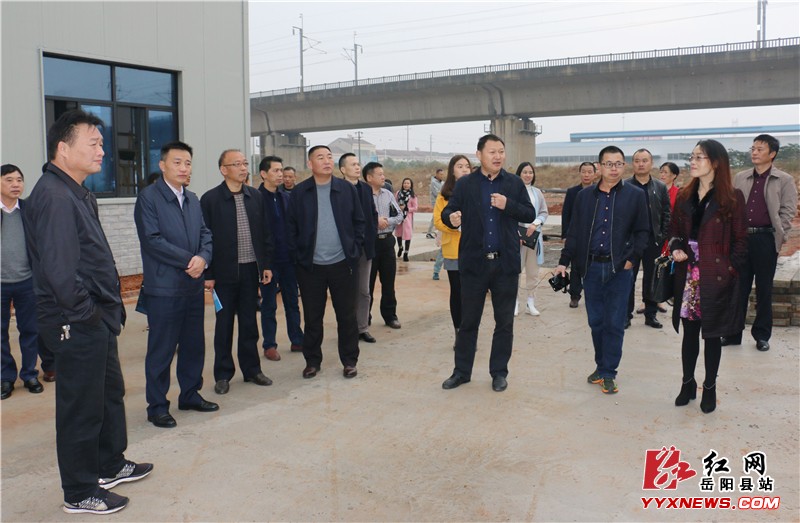 县政府办系统人大代表、政协委员开展视察活动