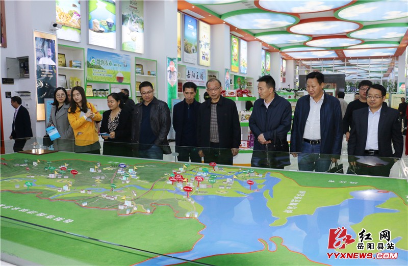 县政府办系统人大代表、政协委员开展视察活动