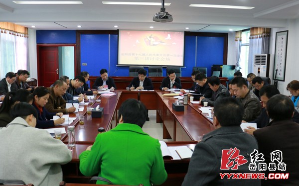 田文静参加第三代表团讨论