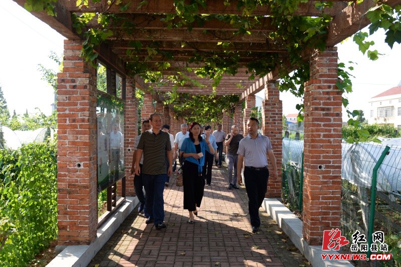 省市农业专家为我县农业生产“问诊把脉”