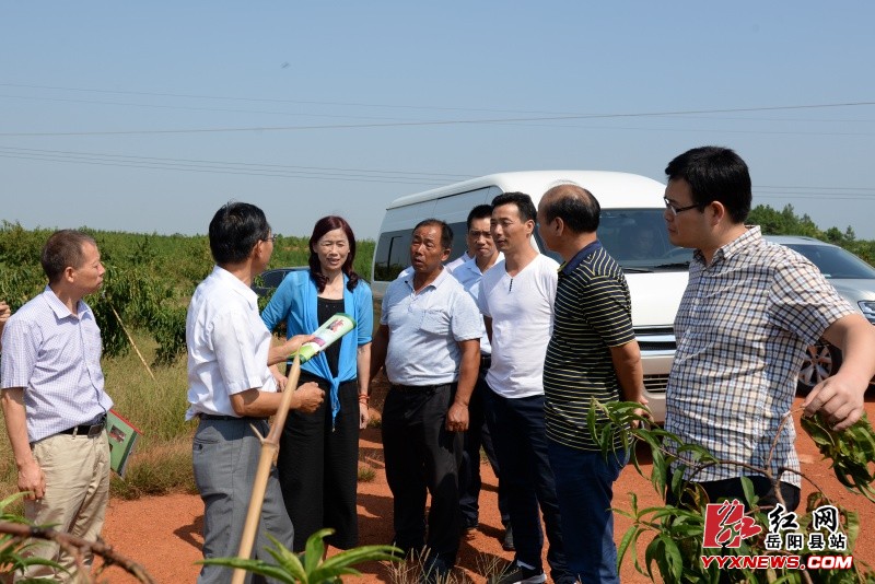 省市农业专家为我县农业生产“问诊把脉”
