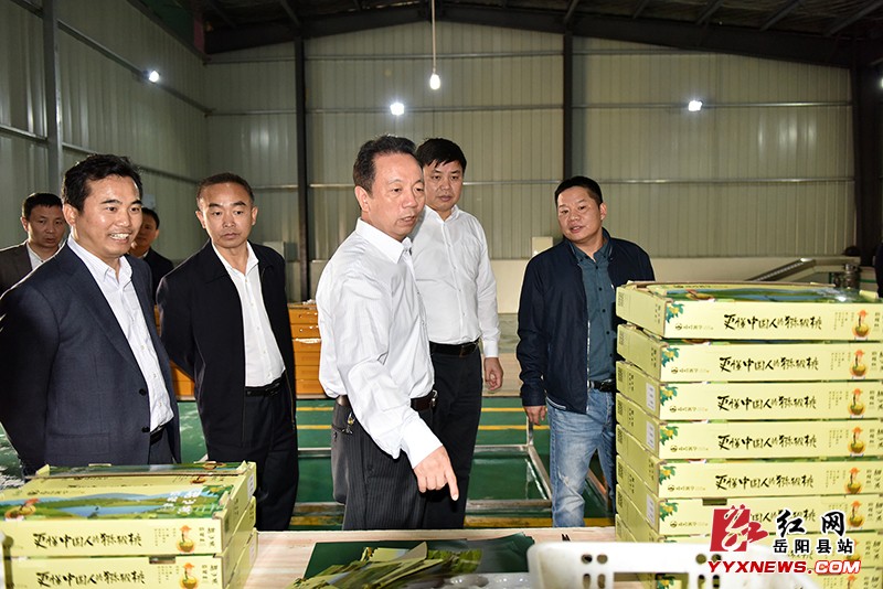 刘和生来我县调研基层党建等工作