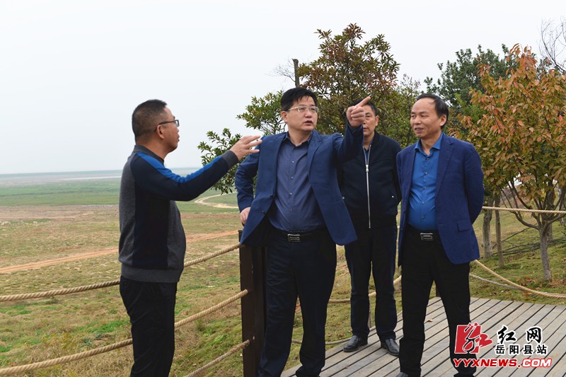 田文静督查中央环保督察问题整改落实情况