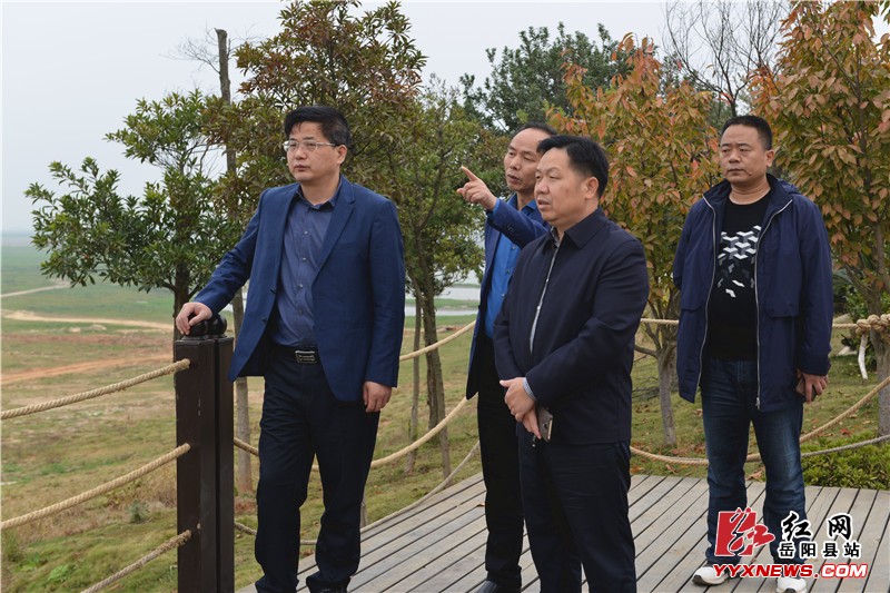 田文静督查中央环保督察问题整改落实情况