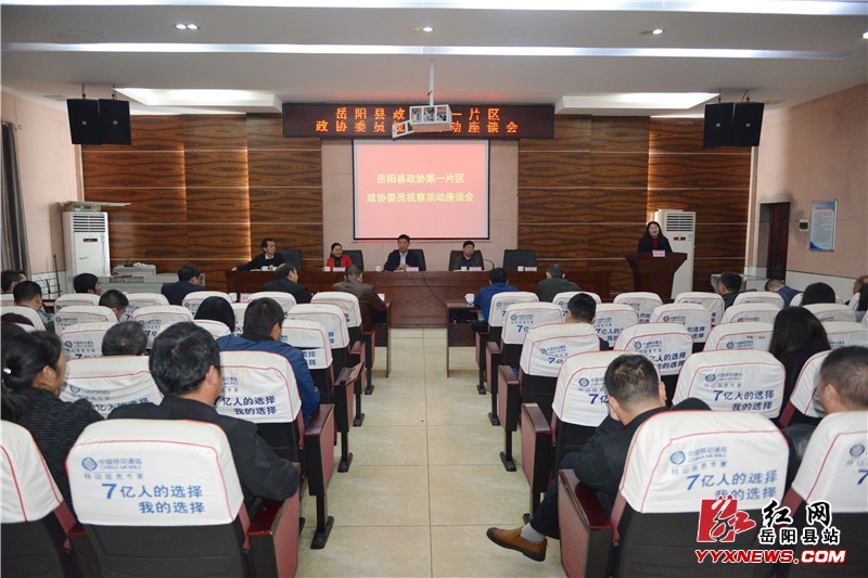 县政协第一片区政协委员视察荣家湾镇