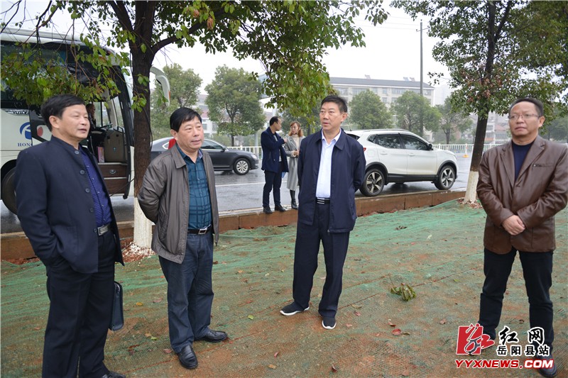 县政协第一片区政协委员视察荣家湾镇