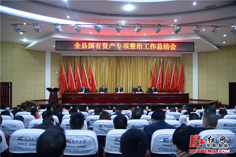 我县国有资产专项整治工作成效显著