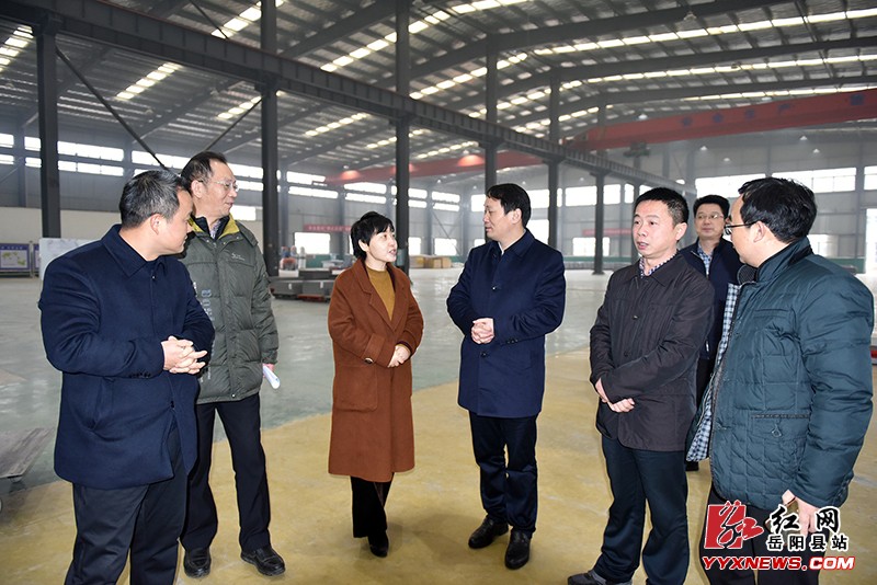 马娜到岳阳高新技术产业园调研