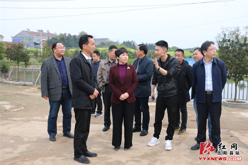 马娜深入我县调研农村人居环境整治等工作