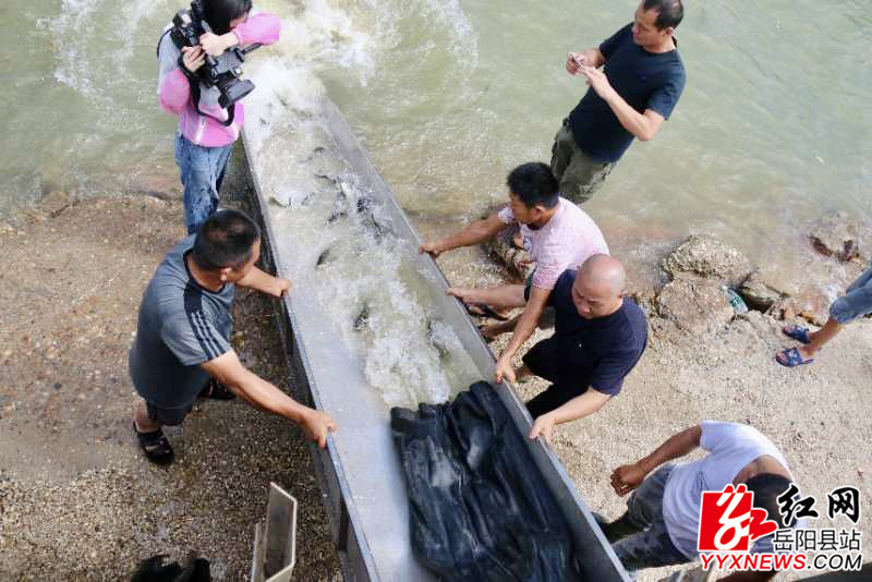 活动现场 (1)_副本.jpg 活动现场 (1)_副本.jpg