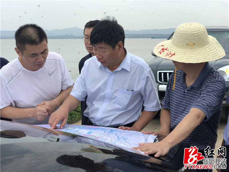 刘伟平1.jpg 刘伟平1.jpg