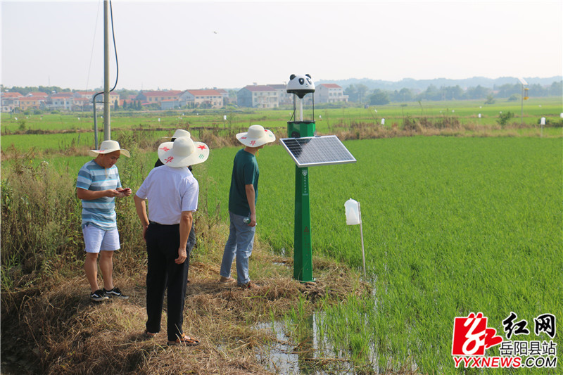 观摩现场.jpg 观摩现场.jpg