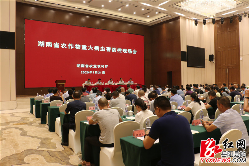 农作物.jpg 农作物.jpg