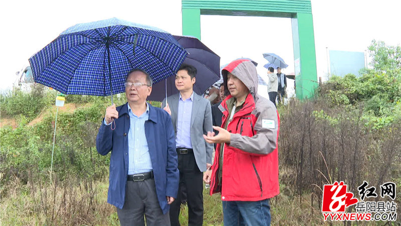 调研组察看瓜蒌种植基地.JPG 调研组察看瓜蒌种植基地.JPG