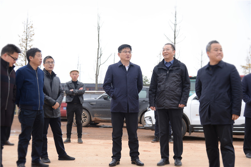 DSC_8900.JPG DSC_8900.JPG