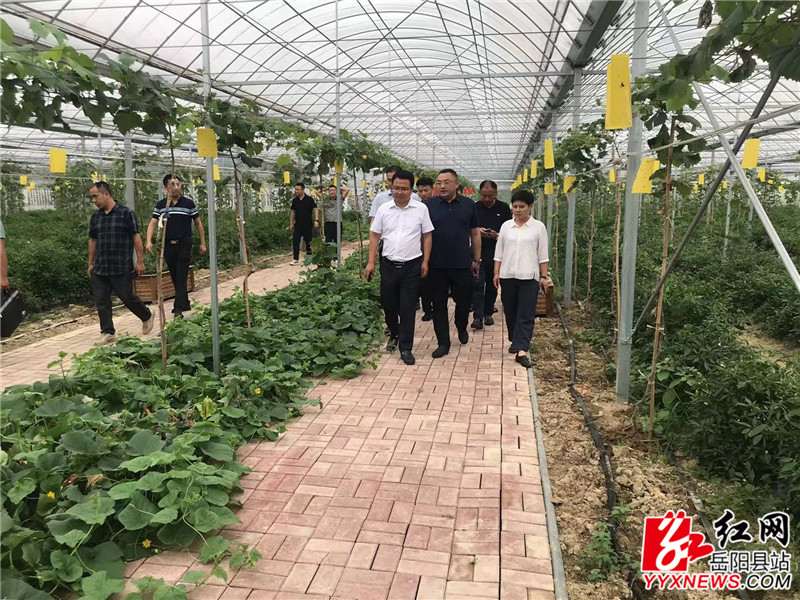 微信图片_202206191741013_副本.jpg 微信图片_202206191741013_副本.jpg