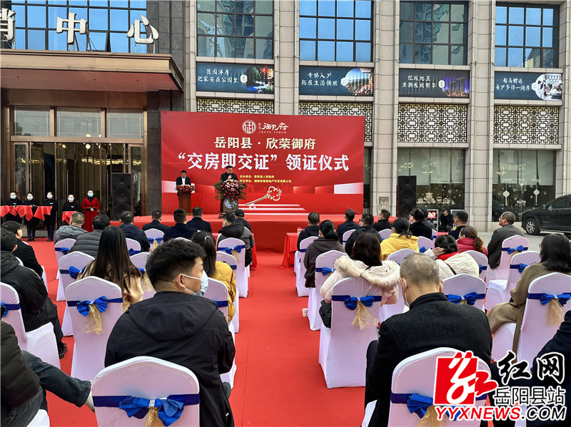 IMG_0982.JPG IMG_0982.JPG