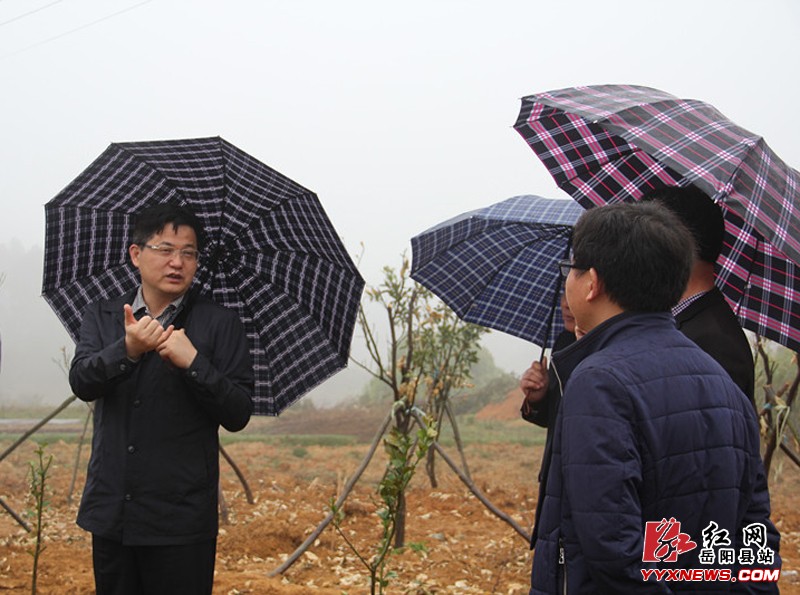 ���ľ���ë������ʴ������ƶ���Ṥ��