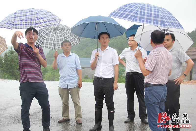 �������д弶�ۺϷ���ƽ̨����