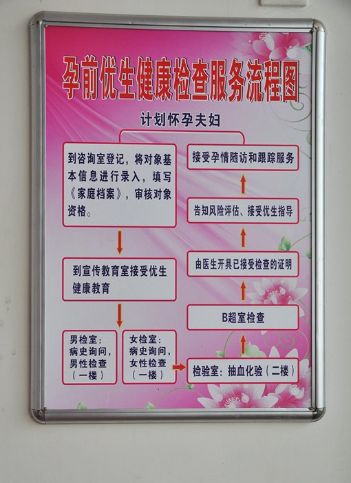 免费孕前优生健康检查流程图