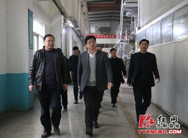 田文静调研我县重点工业项目