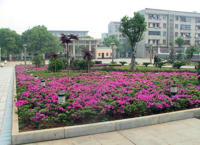 2_20111003121030_MTEwODIwMTU0MjU5OTlfanBnX2d6aXA=.jpg 2_20111003121030_MTEwODIwMTU0MjU5OTlfanBnX2d6aXA=.jpg