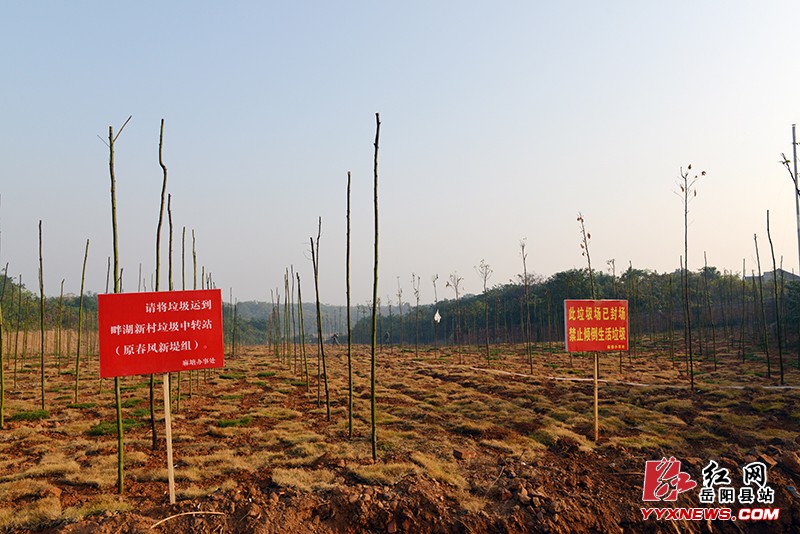 �α��������ص������뻷��������������