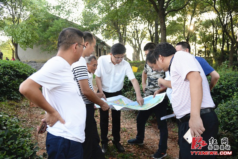 ���ľ���������ߺ�������ɫС���蹤��