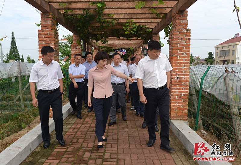 ��������ص���ũ��ĸﴴ�¹���