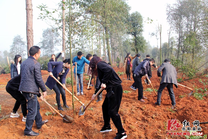 ��ί��ϵͳ��֯��չ����ֲ���