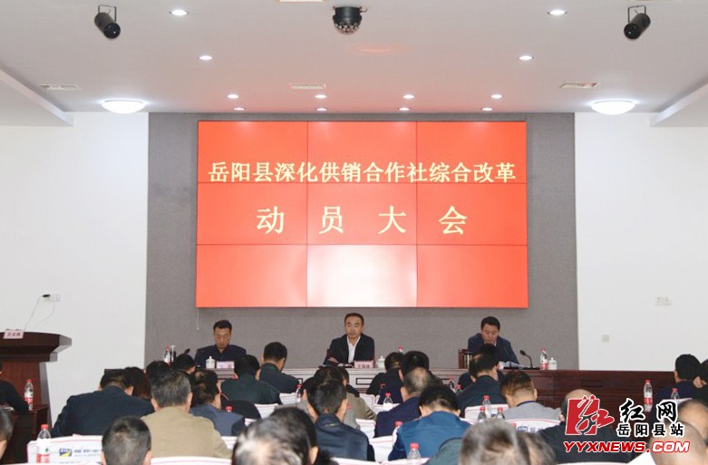 �����ٿ�������������ۺϸĸﶯԱ���