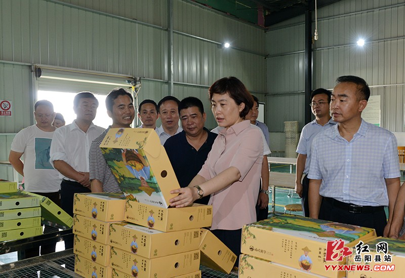 ��������ص���ũ��ĸﴴ�¹���