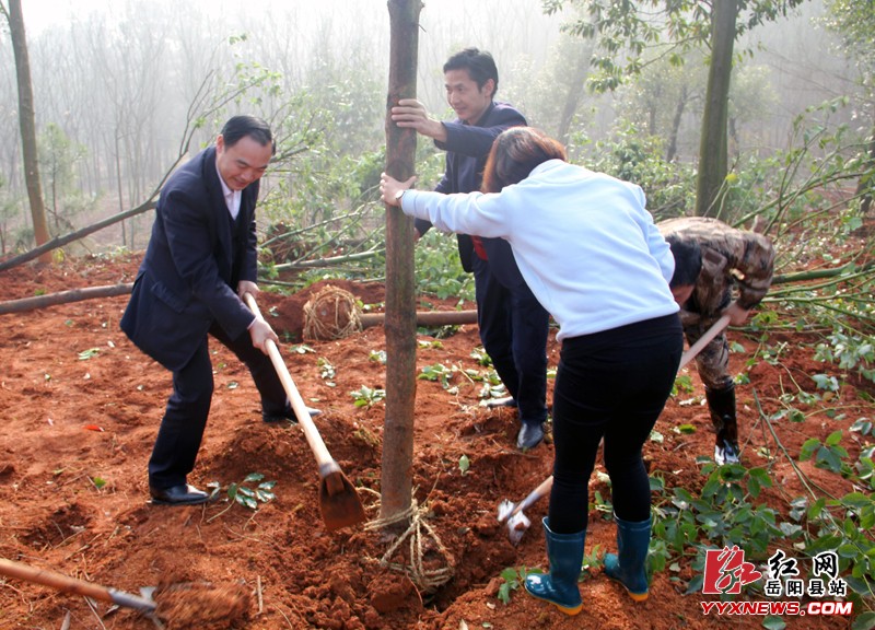 ��ί��ϵͳ��֯��չ����ֲ���