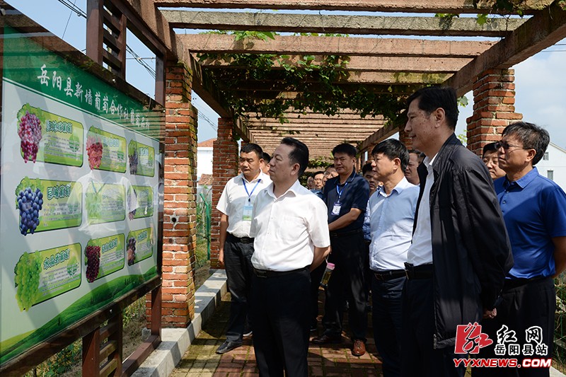 ȫ��������ֳ��������Դ�����û������������ؿ���