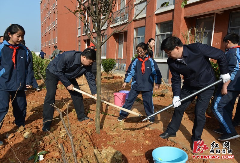 ���ؿ�չȫ������ֲ��������