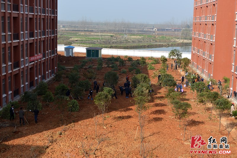 ���ؿ�չȫ������ֲ��������