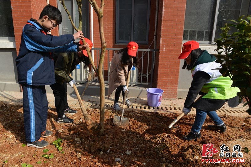 ���ؿ�չȫ������ֲ��������