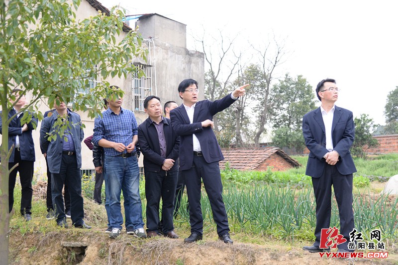 田文静调度荣湾湖片区、卫农北片区城建项目建设