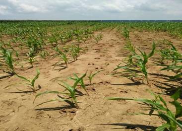 C:\Documents and Settings\Administrator\����\��¹\mmexport1499069650769.jpg