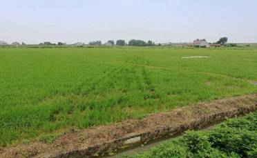 C:\Documents and Settings\Administrator\����\��¹mmexport1499071653209.jpg