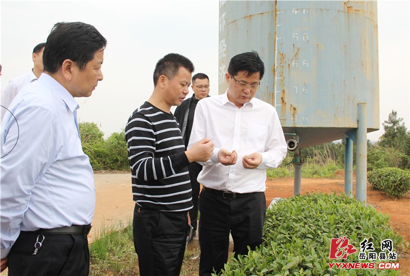 ���ľ�����ɳ�������ũ���ҵ��չ