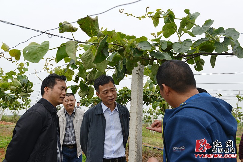 �׸��������ص��в�ҵ��ƶ����