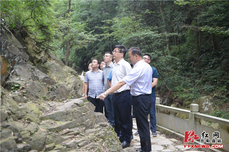 ���ľ������Ź�Ӣ�������ο�������