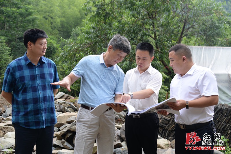 王卫兵调研红色文化阵地建设工作