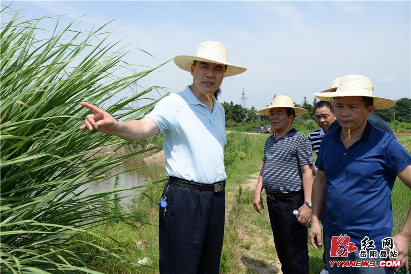 �����������ֺ�Ѳ����ˮ