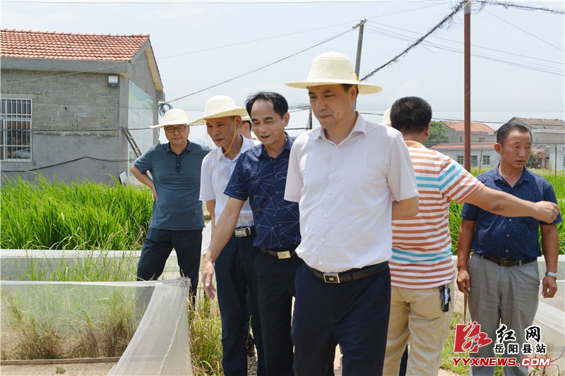 ��С�������ص���ָ�����۾��˴�ҵ����