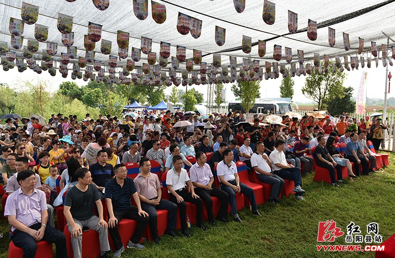 新墙葡萄旅游文化节精彩开幕