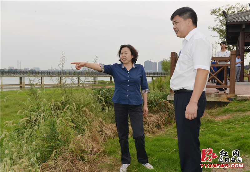 �����������ص��ж���ͥ����̬�����ۺ�����