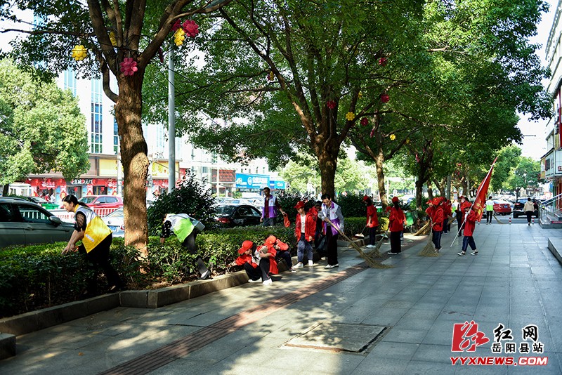 ����԰ӭ����