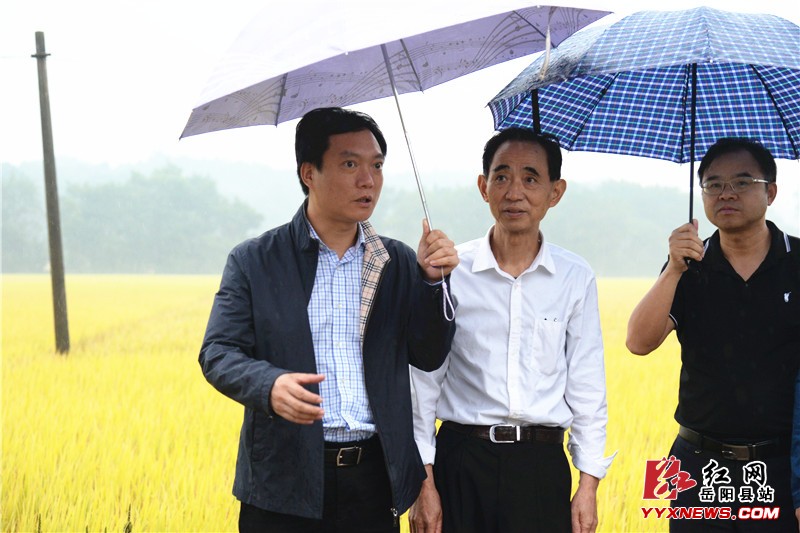 ����ʤ�����ֽ������ũҵ��ҵ��չ���